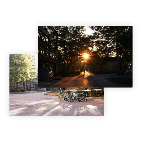 Photo Strip